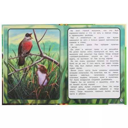 Фотография книги "Виталий Бианки: Мышонок Пик"