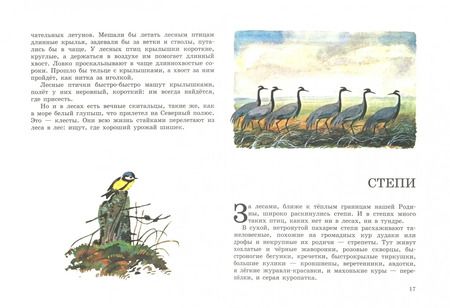 Фотография книги "Виталий Бианки: Наши птицы"