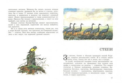 Фотография книги "Виталий Бианки: Наши птицы"