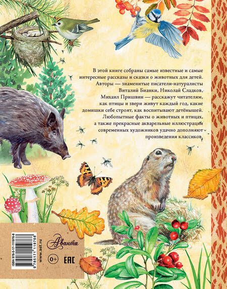 Фотография книги "Виталий Бианки: Рассказы и сказки о природе"