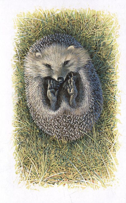 Фотография книги "Виталий Бианки: Тайна ночного леса. Сказка и рассказ"