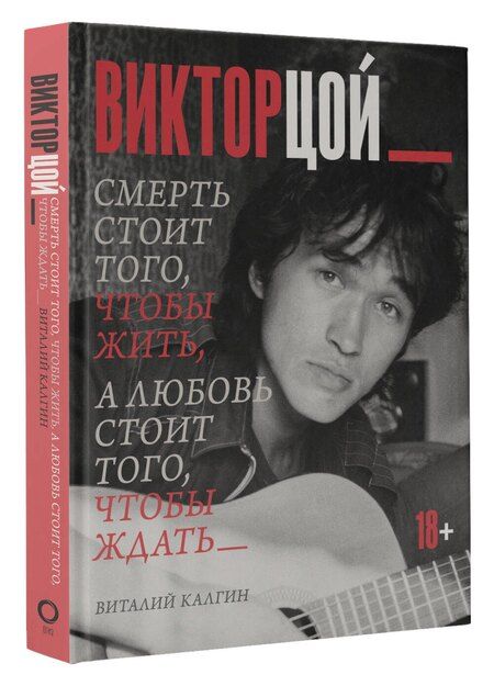 Фотография книги "Виталий Николаевич: Виктор Цой. Смерть стоит того, чтобы жить, а любовь стоит того, чтобы ждать"