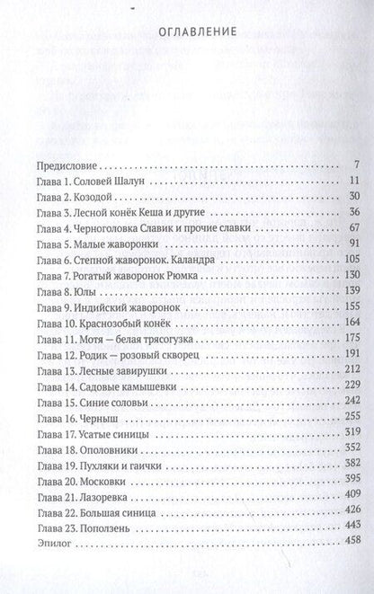 Фотография книги "Виталий Симуткин: Жизнь среди птиц и в радости, и в горе. Провинция"
