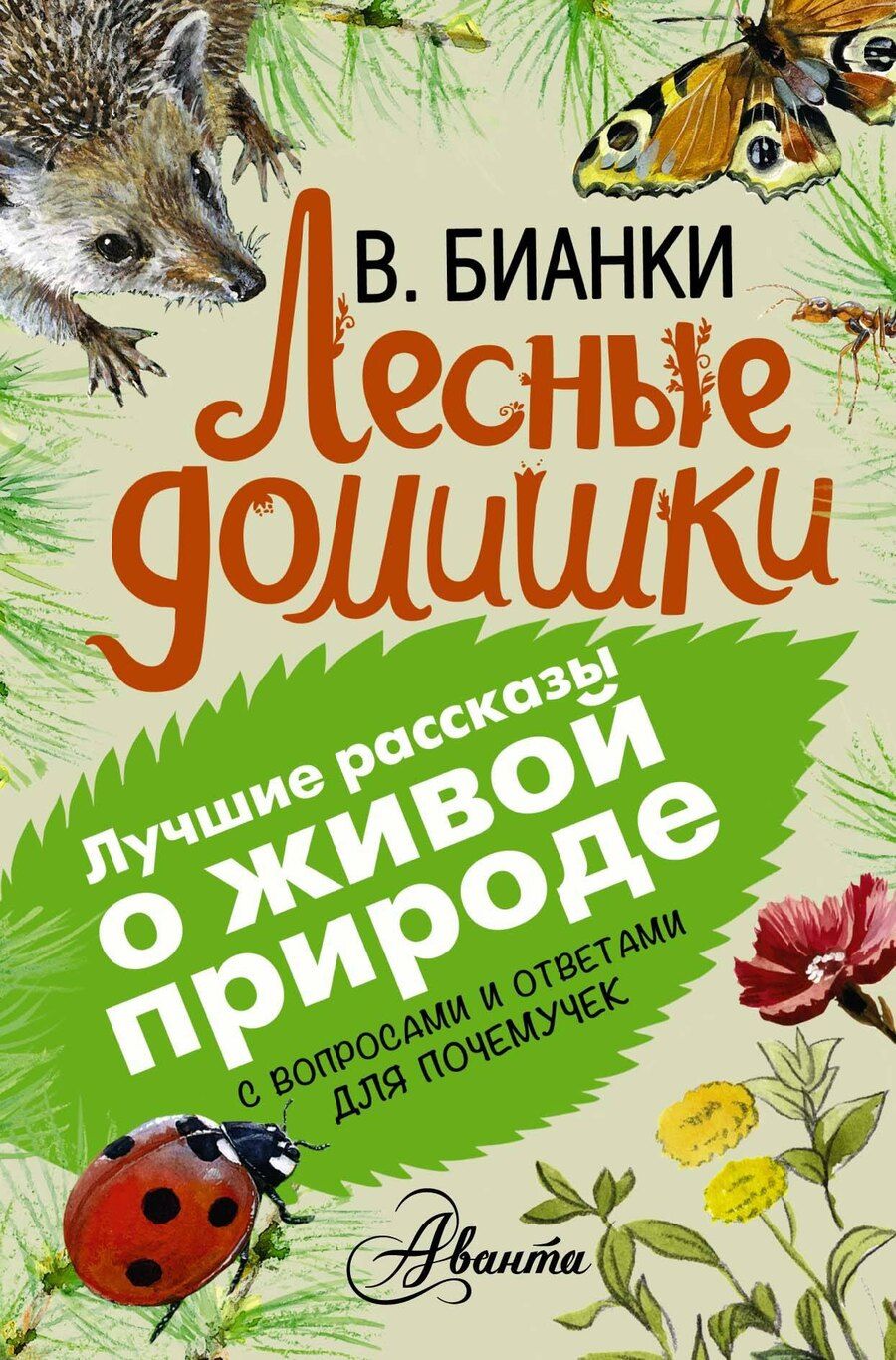 Обложка книги "Виталий Валентинович: Лесные домишки"