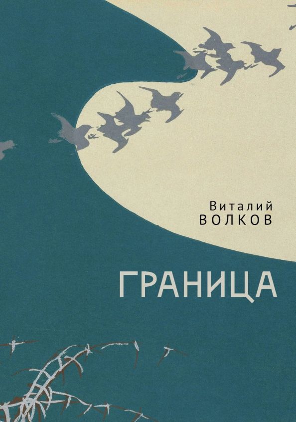 Обложка книги "Виталий Волков: Граница"