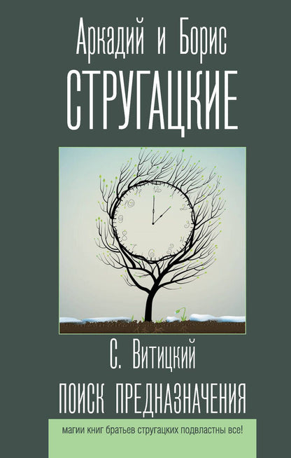 Обложка книги "Витицкий: Поиск предназначения"