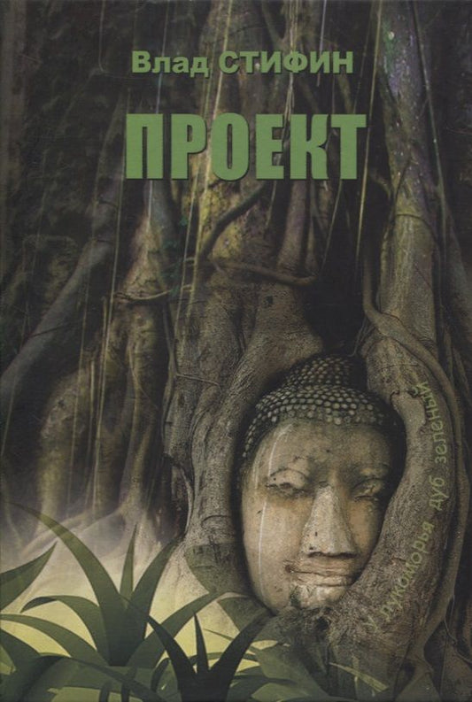 Обложка книги "Влад Стифин: Проект"