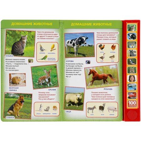 Фотография книги "Владимир Александрович: 100 голосов окружающего мира (10 звуковых кнопок, 100 звуков)"