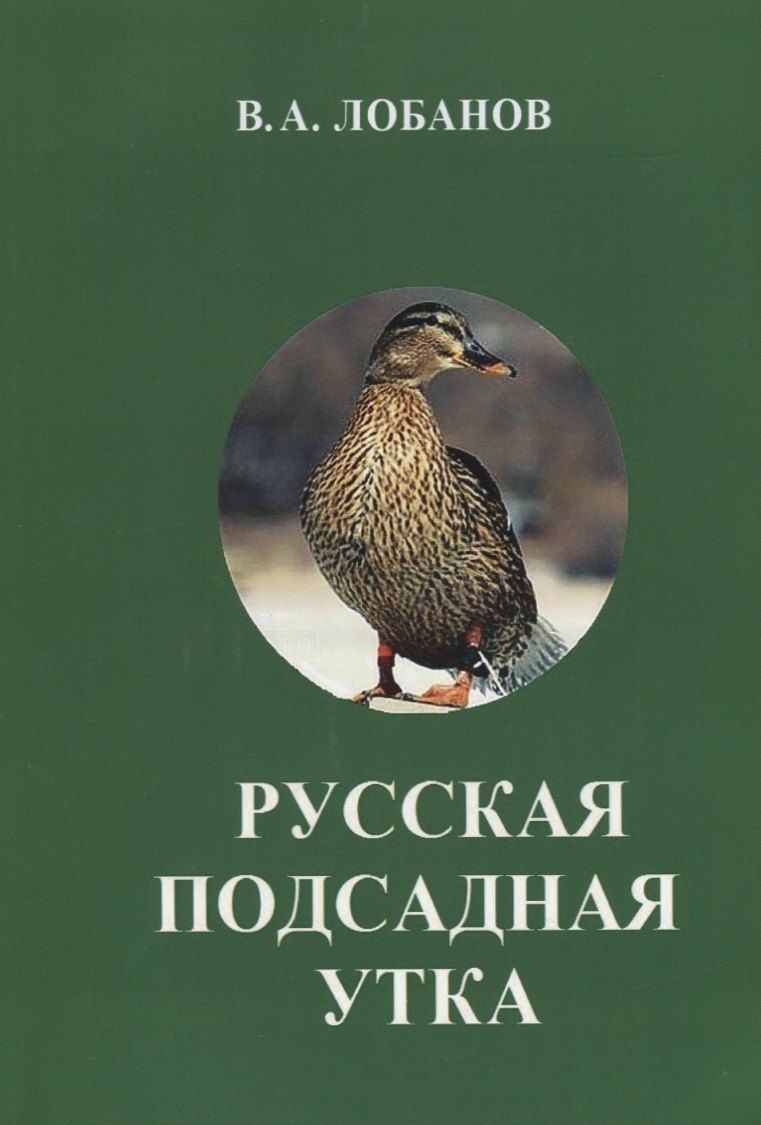 Обложка книги "Владимир Александрович: Русская подсадная утка"