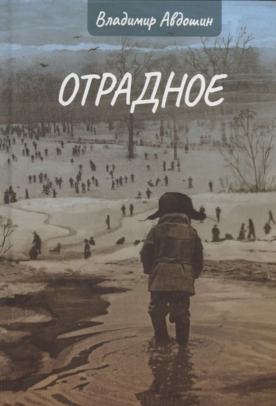 Обложка книги "Владимир Авдошин: Отрадное"