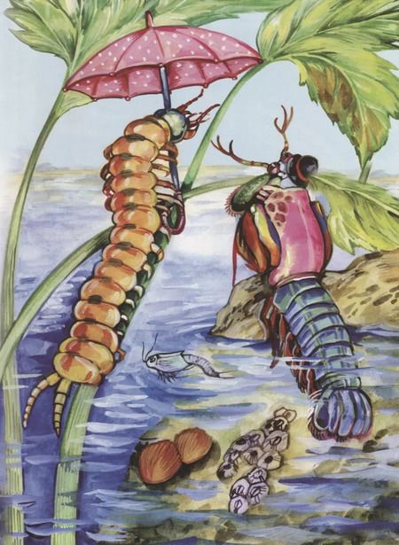 Фотография книги "Владимир Бабенко: Туда и обратно. Зоологические сказки"