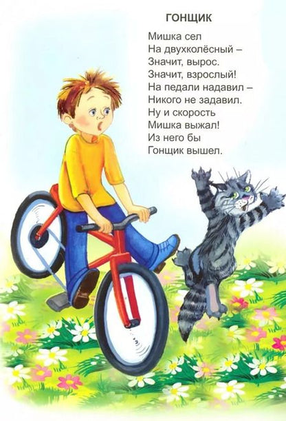 Фотография книги "Владимир Борисов: Детская площадка"