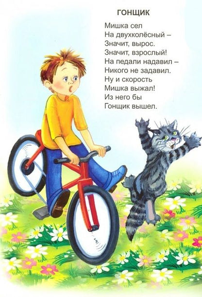 Фотография книги "Владимир Борисов: Детская площадка"