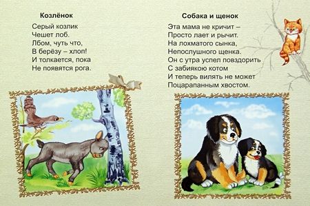 Фотография книги "Владимир Борисов: Самая лучшая мама"