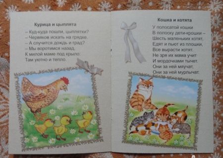 Фотография книги "Владимир Борисов: Самая лучшая мама"