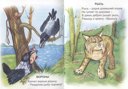 Фотография книги "Владимир Борисов: Живые скороговорки"