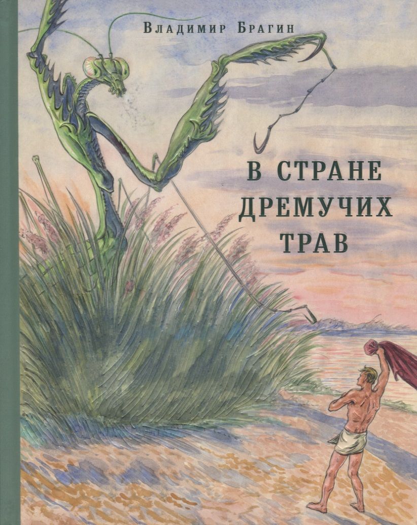 Обложка книги "Владимир Брагин: В Стране Дремучих Трав"