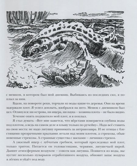 Фотография книги "Владимир Брагин: В Стране Дремучих Трав"