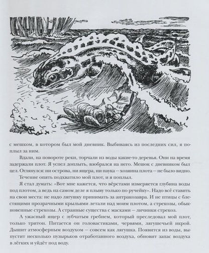 Фотография книги "Владимир Брагин: В Стране Дремучих Трав"