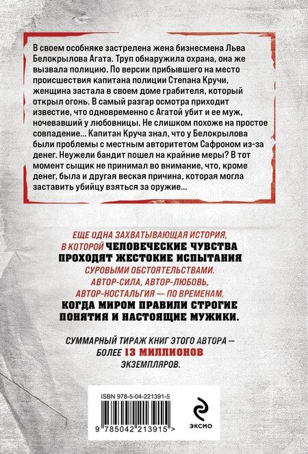 Фотография книги "Владимир Григорьевич: Чужой силуэт"