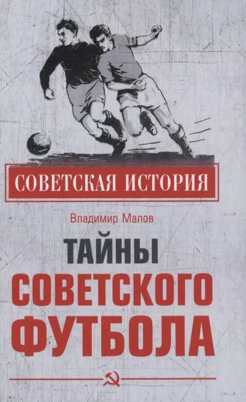 Обложка книги "Владимир Игоревич: Тайны советского футбола"