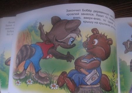 Фотография книги "Владимир Капнинский: Енот-строитель"