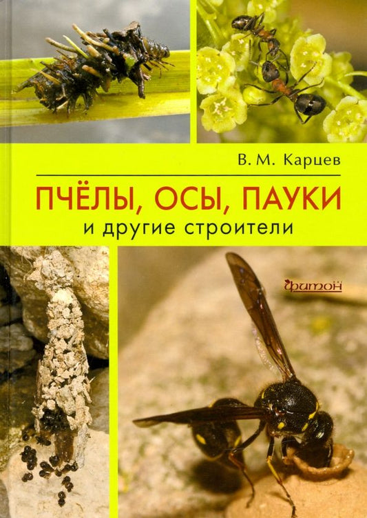 Обложка книги "Владимир Карцев: Пчёлы, осы, пауки и другие строители"
