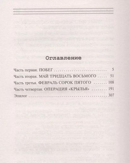 Фотография книги "Владимир Каржавин: Небесные мстители"