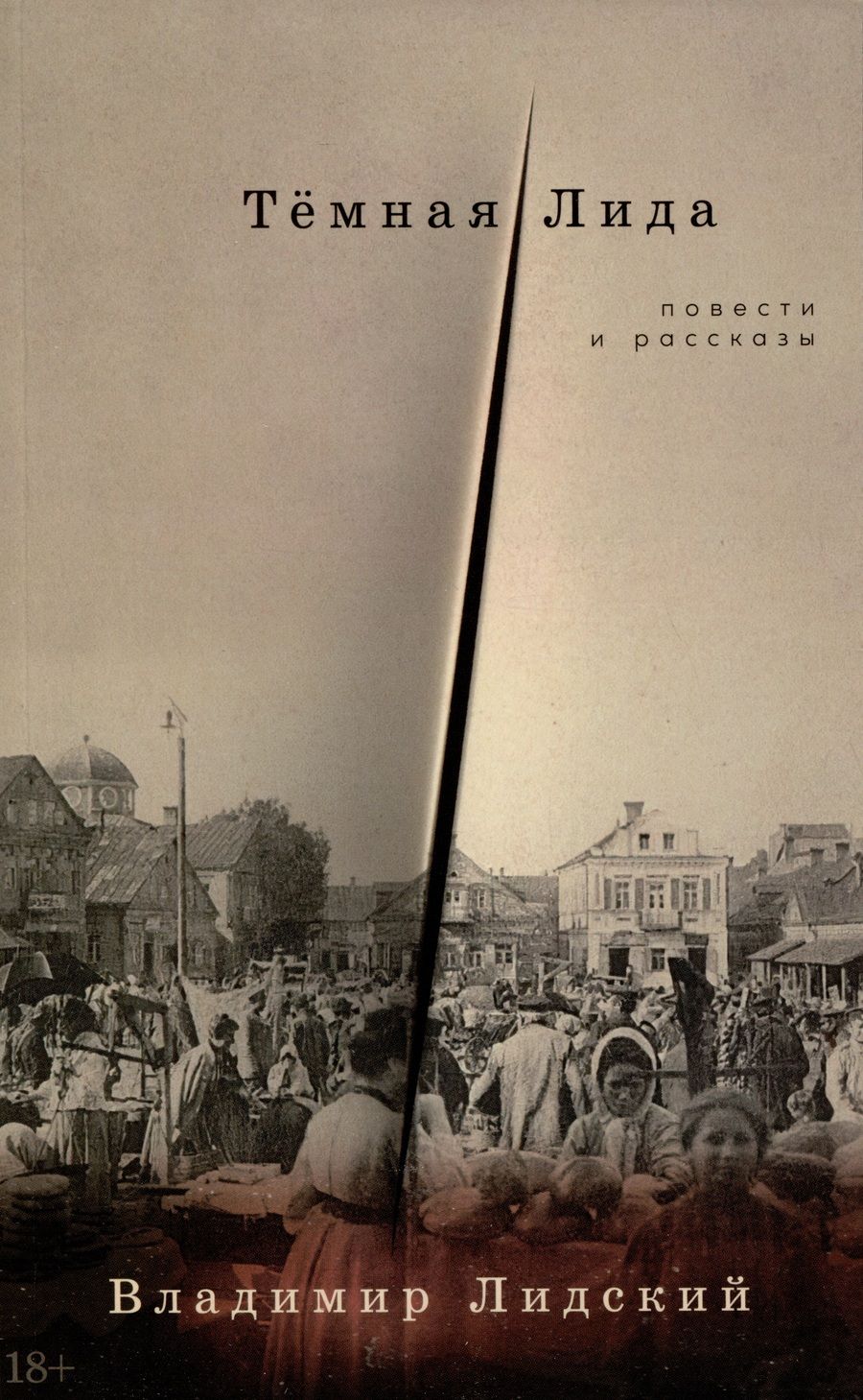 Обложка книги "Владимир Лидский: Темная Лида. Повести и рассказы"