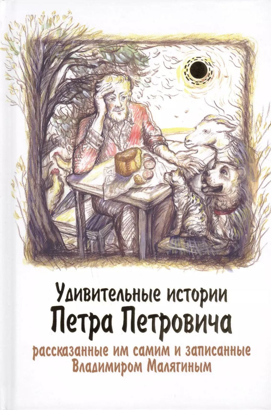 Обложка книги "Владимир Малягин: Удивительные истории Петра Петровича, рассказанные им самим"