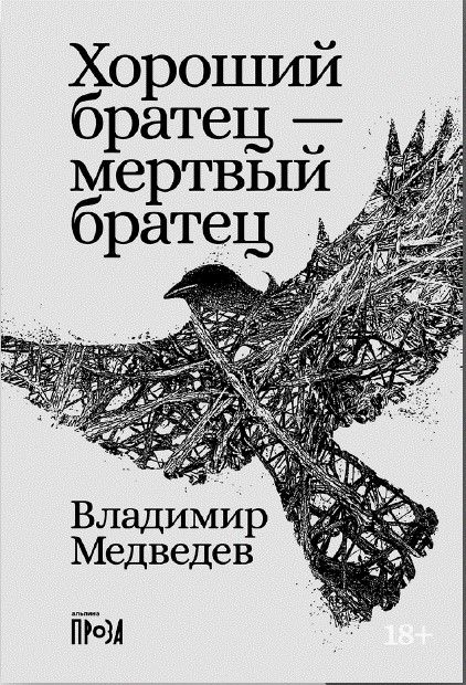 Обложка книги "Владимир Медведев: Хороший братец — мертвый братец"