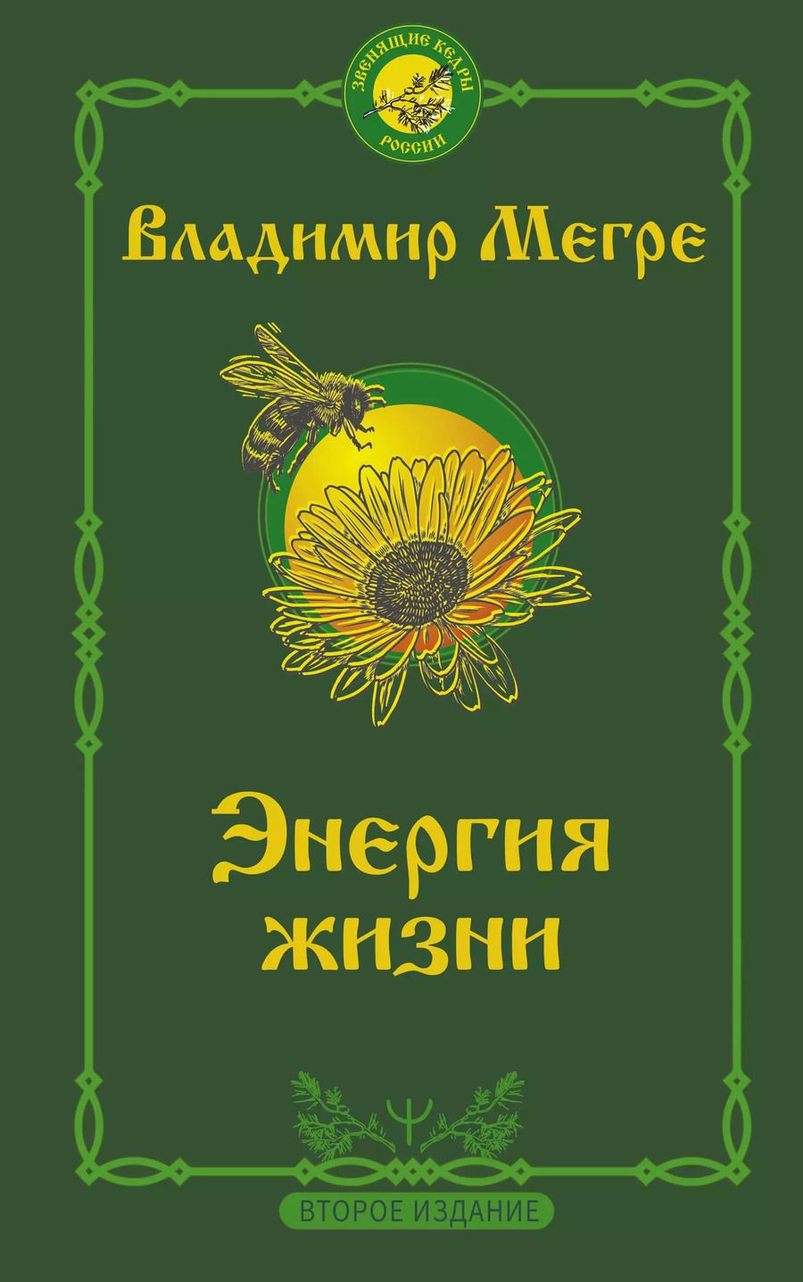 Обложка книги "Владимир Мегре: Энергия жизни"