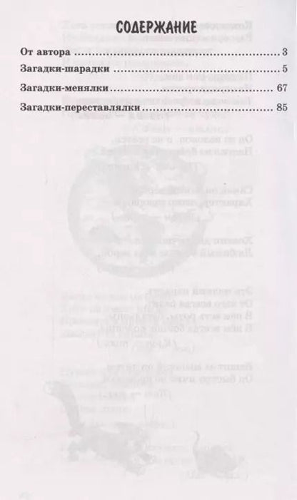 Фотография книги "Владимир Нестеренко: 500 двойных загадок для детей"