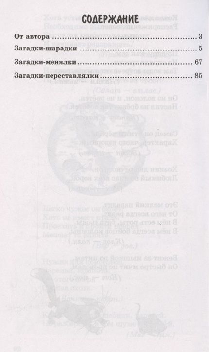 Фотография книги "Владимир Нестеренко: 500 двойных загадок для детей"