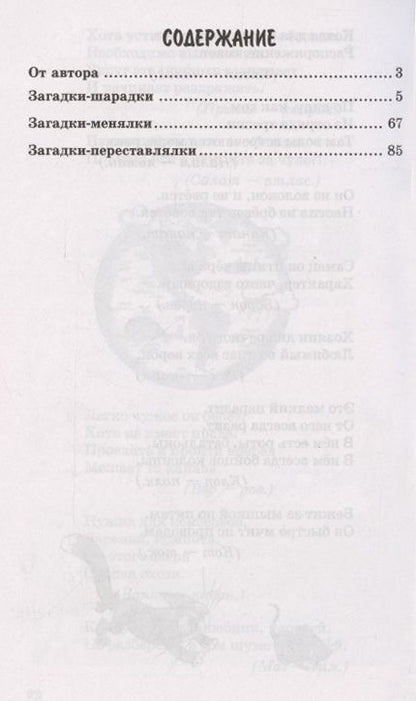 Фотография книги "Владимир Нестеренко: 500 двойных загадок для детей"