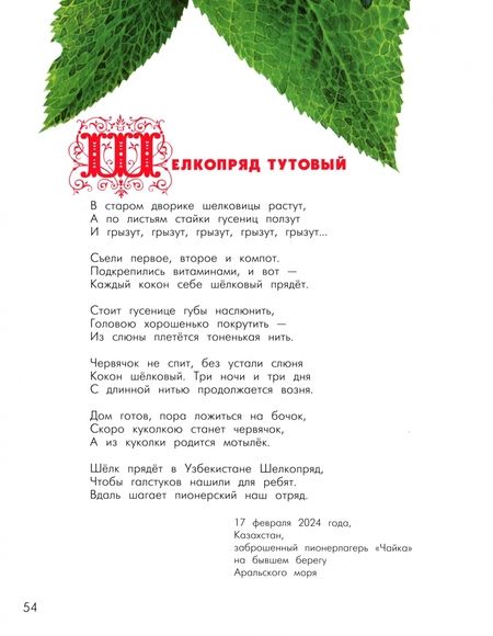 Фотография книги "Владимир Орсо: Азбука диковинных насекомых. Для взрослых и детей"