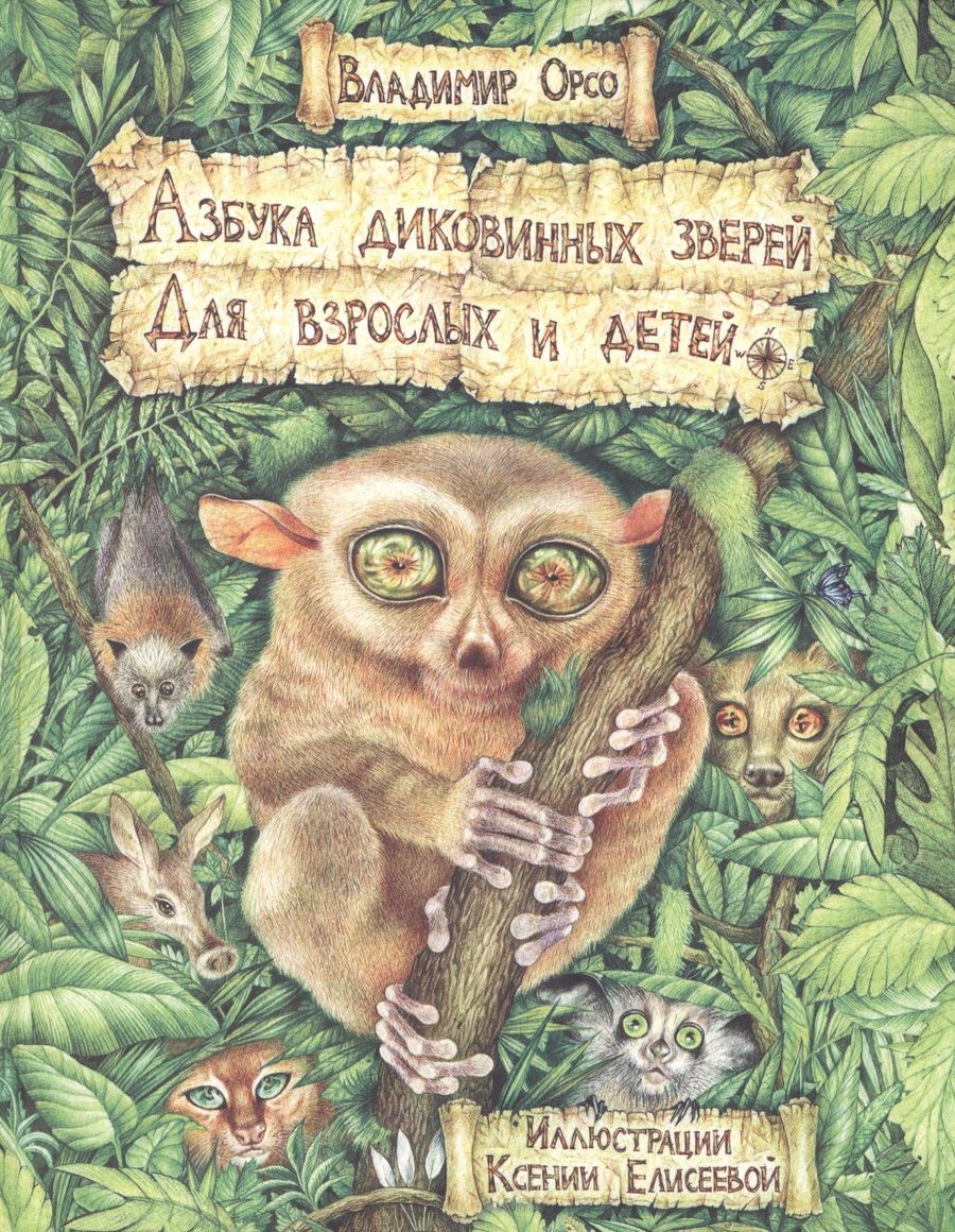 Обложка книги "Владимир Орсо: Азбука диковинных зверей. Для взрослых и детей"