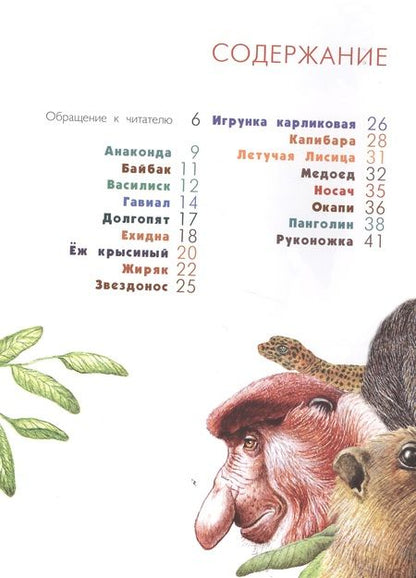 Фотография книги "Владимир Орсо: Азбука диковинных зверей. Для взрослых и детей"