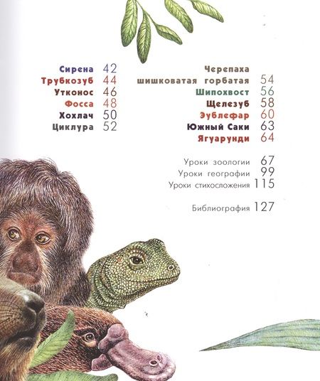 Фотография книги "Владимир Орсо: Азбука диковинных зверей. Для взрослых и детей"