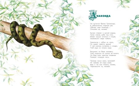 Фотография книги "Владимир Орсо: Азбука диковинных зверей. Для взрослых и детей"