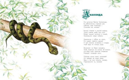 Фотография книги "Владимир Орсо: Азбука диковинных зверей. Для взрослых и детей"