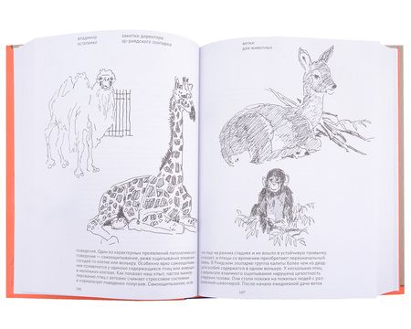 Фотография книги "Владимир Остапенко: Заметки директора Эр-Риярдского зоопарка"