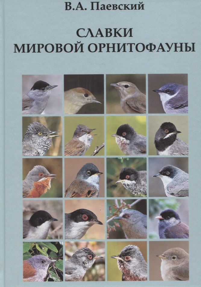 Обложка книги "Владимир Паевский: Славки мировой орнитофауны"