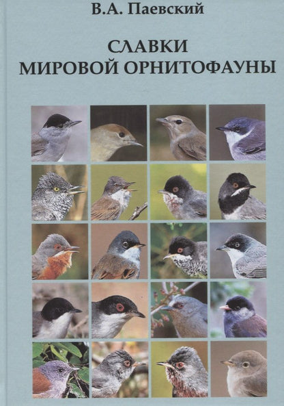 Обложка книги "Владимир Паевский: Славки мировой орнитофауны"