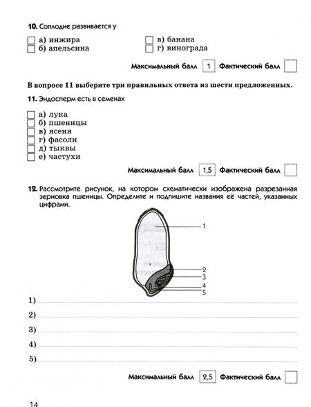 Фотография книги "Владимир Пасечник: Биология. 6 класс. Диагностические работы к учебнику В. В. Пасечника. ФГОС"