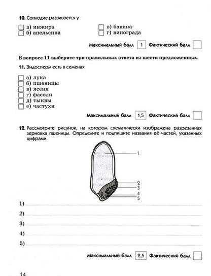Фотография книги "Владимир Пасечник: Биология. 6 класс. Диагностические работы к учебнику В. В. Пасечника. ФГОС"