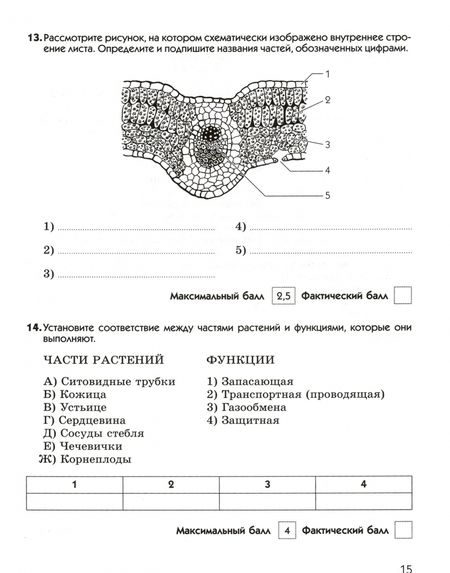 Фотография книги "Владимир Пасечник: Биология. 6 класс. Диагностические работы к учебнику В. В. Пасечника. ФГОС"