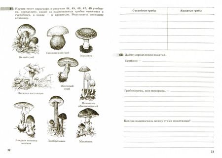 Фотография книги "Владимир Пасечник: Биология. Бактерии, грибы, растения. 5 класс. Рабочая тетрадь к учебнику В.В. Пасечника"