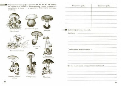 Фотография книги "Владимир Пасечник: Биология. Бактерии, грибы, растения. 5 класс. Рабочая тетрадь к учебнику В.В. Пасечника"