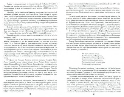Фотография книги "Владимир Полушин: Николай Гумилев. Жизнь расстрелянного поэта"